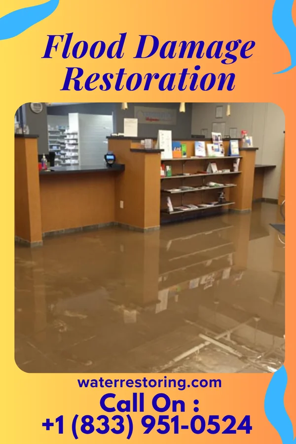 Flood Damage Restoration in New Whiteland, IN