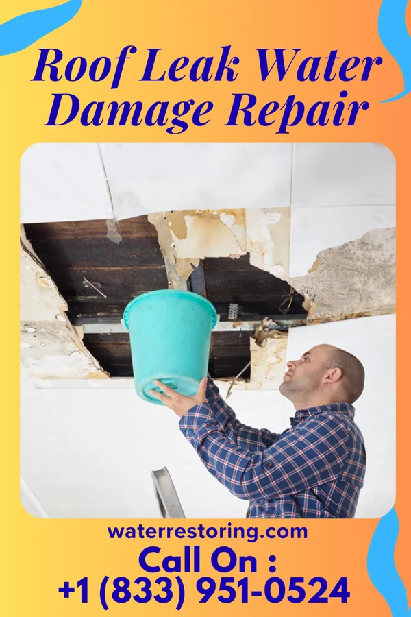 Roof Leak Water Damage Repair in New Whiteland, IN