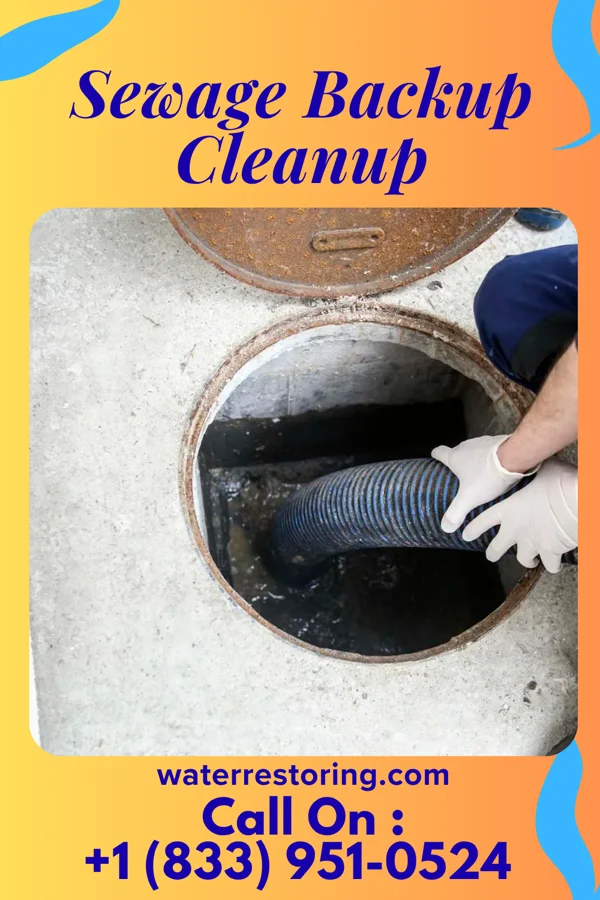 Sewage Backup Cleanup in New Whiteland, IN