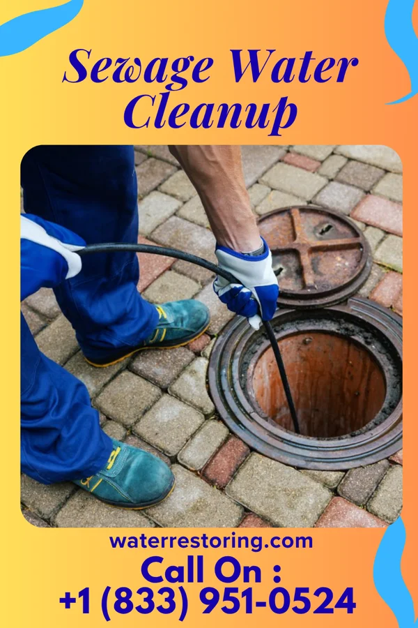 Sewage Water Cleanup in New Whiteland, IN